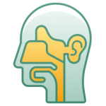 Thiết bị hô hấp, tai mũi họng